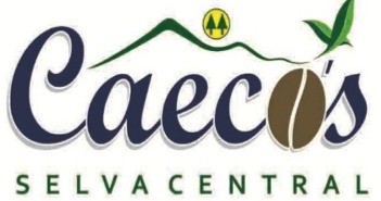 Portfolio Work for Digital Wind